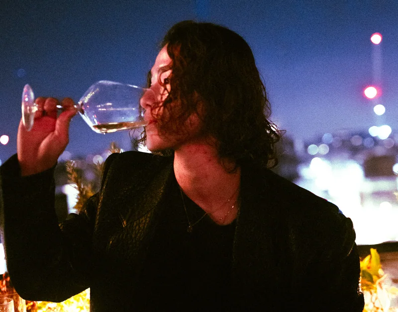Guest with a wine glass against the night skyline