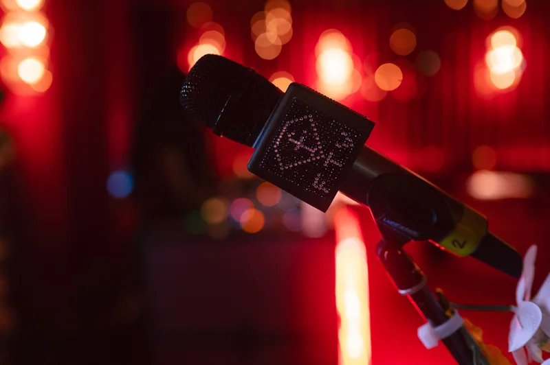 Microphone detail gives event coverage graphic precision