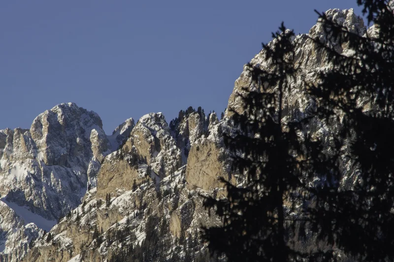 Mountain range framed by dark foreground trees