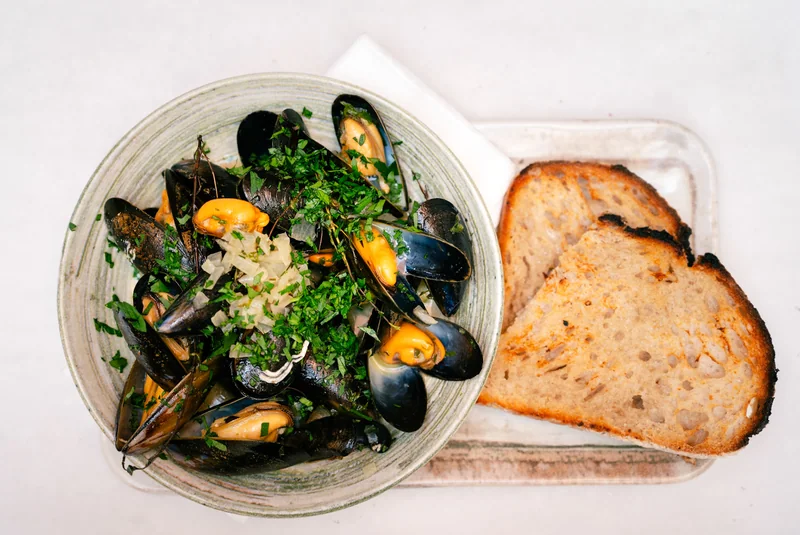 Mussels with herbs and toasted bread viewed from above
