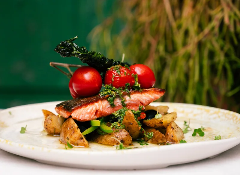 Salmon with vegetables against a green restaurant door