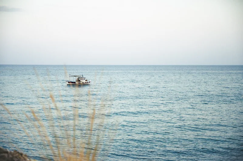 Small boat on pale blue water seen through soft foreground grasses in Greece